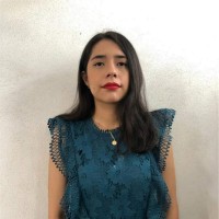 Yocelin Bracamontes Islas