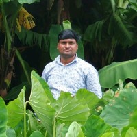 Sachin N Pawar