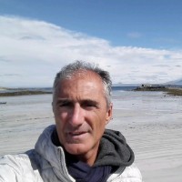 Giuliano Marino