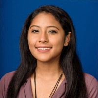 Trena Seecharan