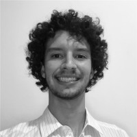 Pedro Araújo Lima Parreiras