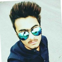 Shrikant Lion