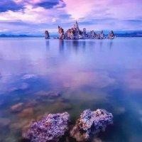 高尚杰