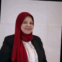 Abeer Abdeltawab DBA , MPA