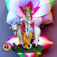 Kuldeep Boora