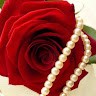 Aparna Gowri