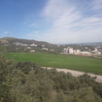 Guedri Noureddine