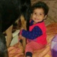 Ankit Sharma