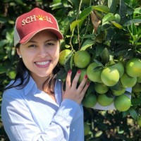 Nayara Jaqueline Scholl Lima