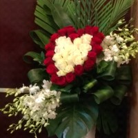 Nungki yogaku Yogaku