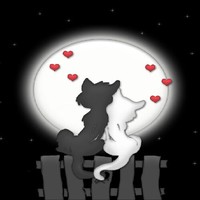 Dreamlove Q3