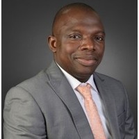 Adedapo Adesanya, Hnd,Bsc,,Fca,Anim,Fcti,Cma,