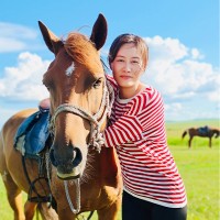 李胜男