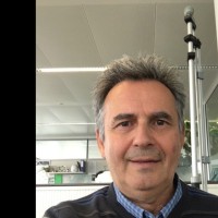 Branko Marinkovic