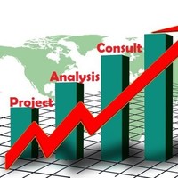Project Analysis Consult