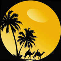 Discover Morocco Tours