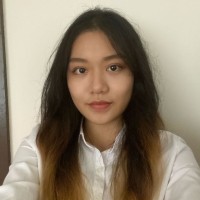 Wang Fei