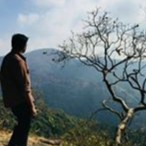 Surya Chandrashekar