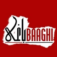Baaghi TV