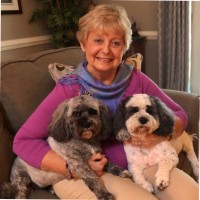 Sue Hutchinson