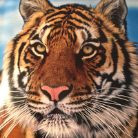 JUAN PABLO LUNA PEREZ