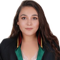 Elif Ayan