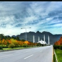 Murtaza Haider