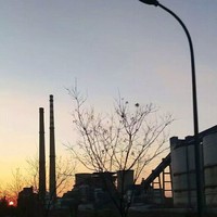 庞世华