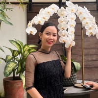 Yến Ái Vân Trần