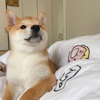 万安妮
