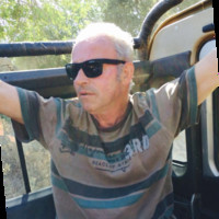 Bert Bosman