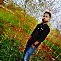 Shiva Roy
