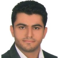 Seeyed Mahdi Bahreini