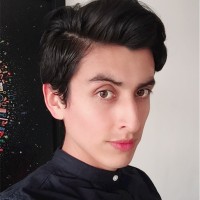 Vladimir Simbaña Vargas