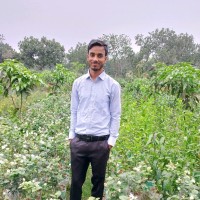 Mohammad Rubel