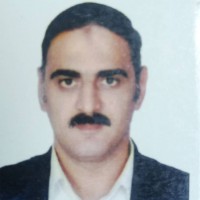 Hesham Elnaggar