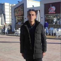Hesham Hafez