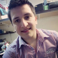 Luis Fernando Manzanarez Gamez