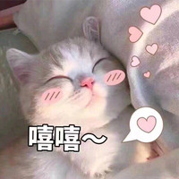 Zining C.