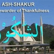 muhammad sani magacchi