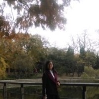 李金玲