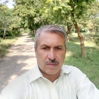 Haroon Ur Rashid