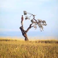 Retselisitsoe Motsamai