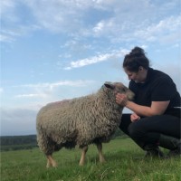 Anne Kelleher MSc