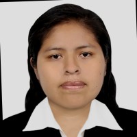 Lourdes Arenas Layme