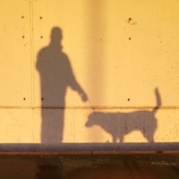 Juan Andrés Torres Bazán