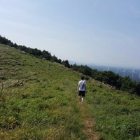 안태현
