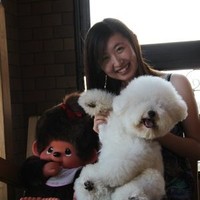 ellen gao
