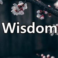 Wisdom KR