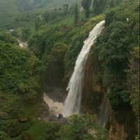 刘正洲